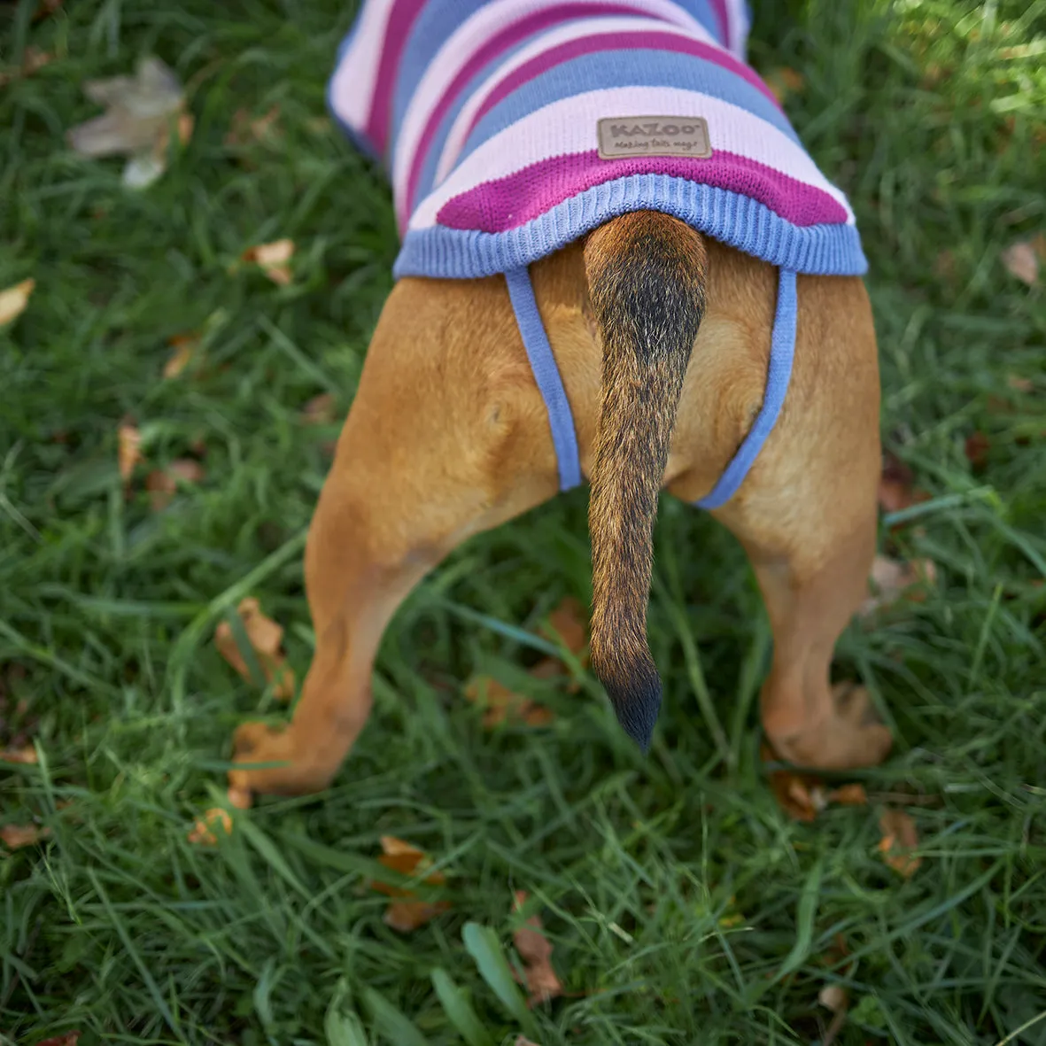 Bumble Dog Jumper - Berry