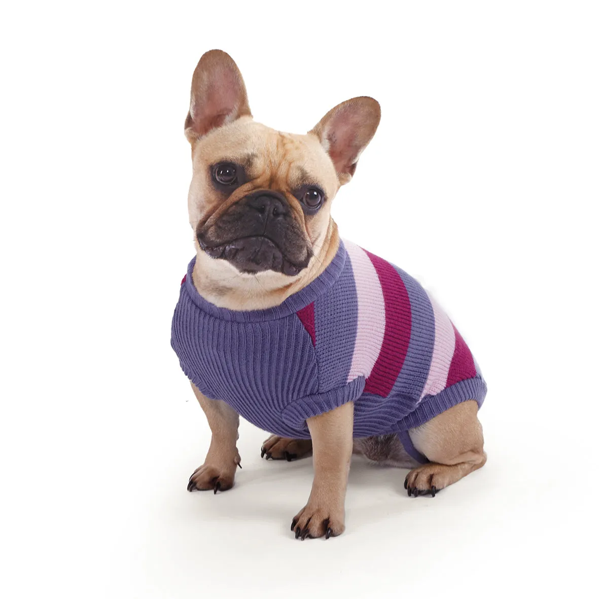 Bumble Dog Jumper - Berry