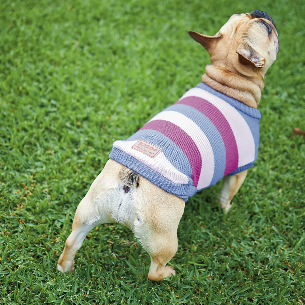 Bumble Dog Jumper - Berry