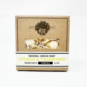 Citrus & Teakwood Loofah Soap Boxed