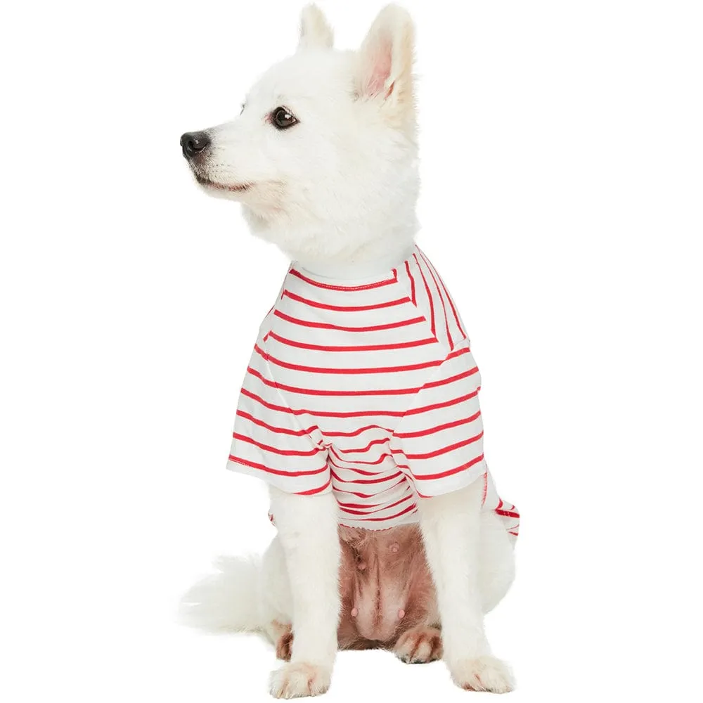 Dogs & Cats & Co. Saint Malo Matching Henley T-shirt Red