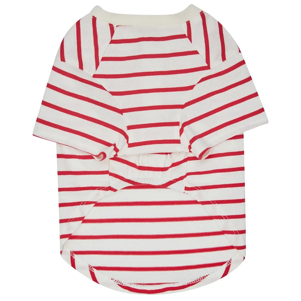 Dogs & Cats & Co. Saint Malo Matching Henley T-shirt Red