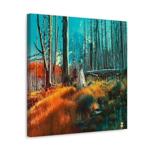 GADGETS WRAP Canvas Gallery Wrap Framed for Home Office Studio Living Room Decoration (10x10inch) - A Quiet Place Infrared Photography