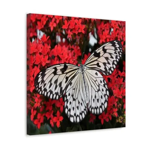 GADGETS WRAP Canvas Gallery Wrap Framed for Home Office Studio Living Room Decoration (10x10inch) - B&W Butterfly On Red Flower
