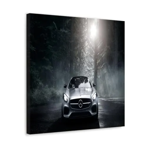 GADGETS WRAP Canvas Gallery Wrap Framed for Home Office Studio Living Room Decoration (10x10inch) - Brand Owned Car