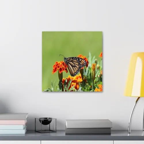 GADGETS WRAP Canvas Gallery Wrap Framed for Home Office Studio Living Room Decoration (10x10inch) - Butterfly On A Orange Flower