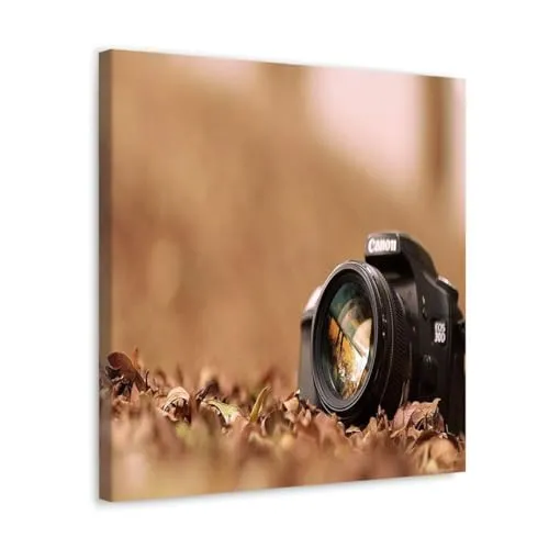 GADGETS WRAP Canvas Gallery Wrap Framed for Home Office Studio Living Room Decoration (10x10inch) - Canonn Cam