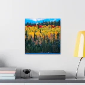 GADGETS WRAP Canvas Gallery Wrap Framed for Home Office Studio Living Room Decoration (10x10inch) - Colorful Forest (10)