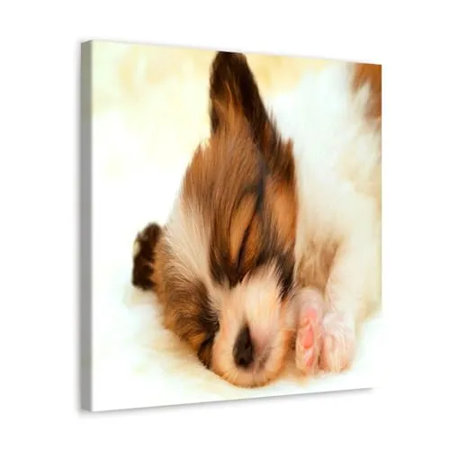 GADGETS WRAP Canvas Gallery Wrap Framed for Home Office Studio Living Room Decoration (10x10inch) - Cute Pup Sleeping