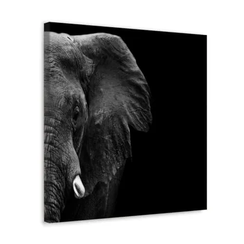 GADGETS WRAP Canvas Gallery Wrap Framed for Home Office Studio Living Room Decoration (10x10inch) - Elephant Portrait B&W #1