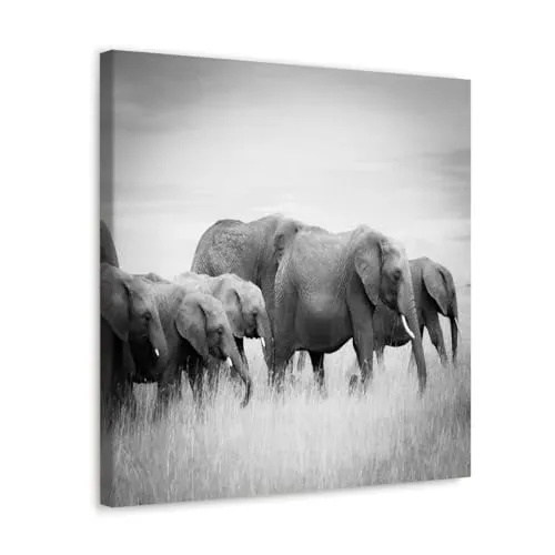 GADGETS WRAP Canvas Gallery Wrap Framed for Home Office Studio Living Room Decoration (10x10inch) - Elephants On Grass