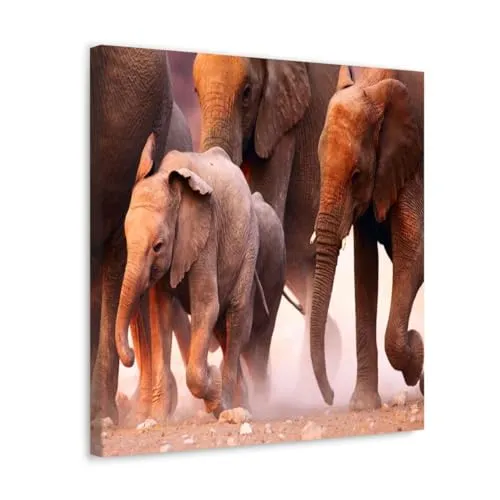 GADGETS WRAP Canvas Gallery Wrap Framed for Home Office Studio Living Room Decoration (10x10inch) - Elephants Running