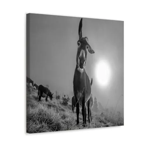 GADGETS WRAP Canvas Gallery Wrap Framed for Home Office Studio Living Room Decoration (10x10inch) - Friend