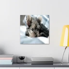 GADGETS WRAP Canvas Gallery Wrap Framed for Home Office Studio Living Room Decoration (10x10inch) - Furry Puppy