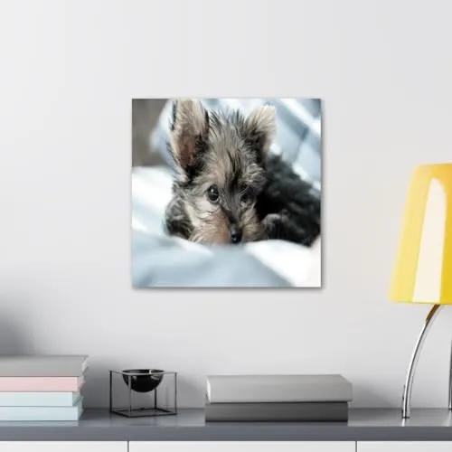 GADGETS WRAP Canvas Gallery Wrap Framed for Home Office Studio Living Room Decoration (10x10inch) - Furry Puppy