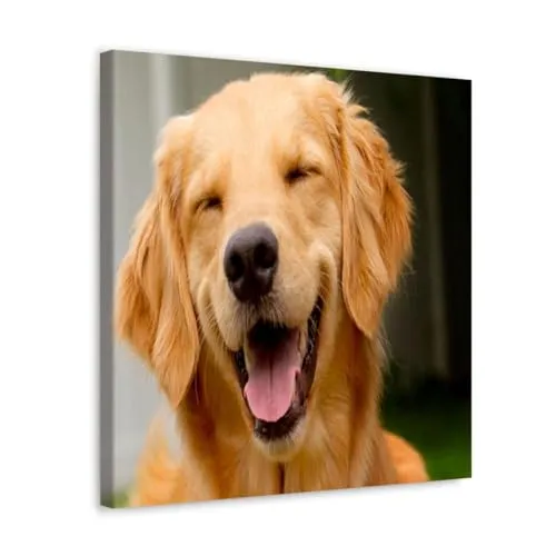 GADGETS WRAP Canvas Gallery Wrap Framed for Home Office Studio Living Room Decoration (10x10inch) - Golden Dog