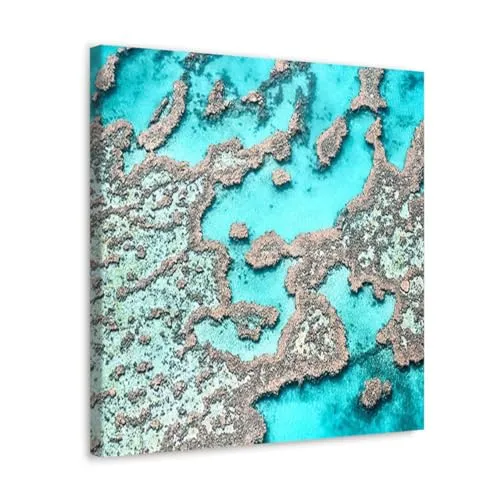 GADGETS WRAP Canvas Gallery Wrap Framed for Home Office Studio Living Room Decoration (10x10inch) - Great Barrier Reef I